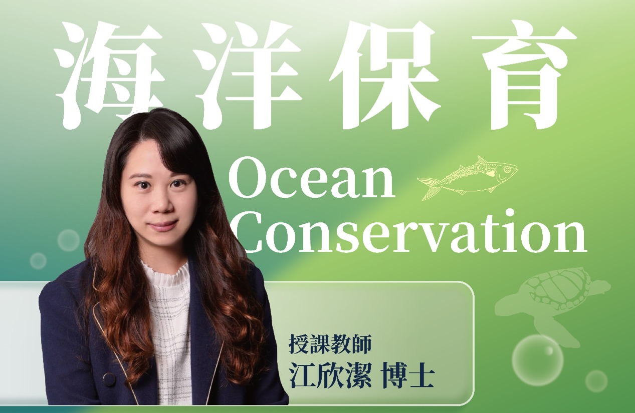 教育部推薦《海洋保育》課程　台北海大磨課師線上學習成果亮眼