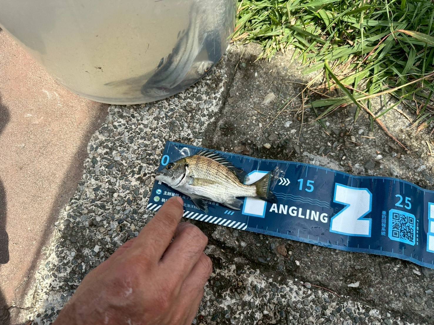 釣魚治百病，社子島開診啦！