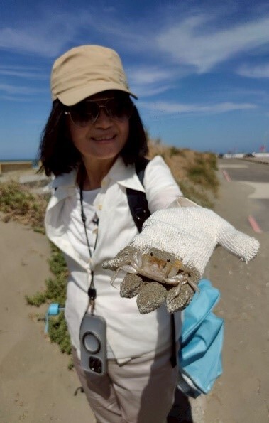 港邊經濟-遊艇、汽車與沙灘