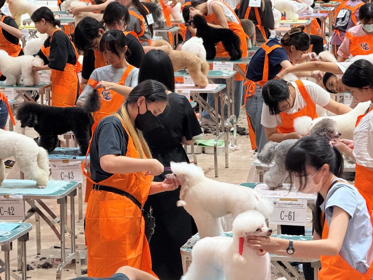 全國寵物美容技職盃競賽表現亮眼 海洋科大選手大滿貫奪得全場最高榮譽農業部部長獎