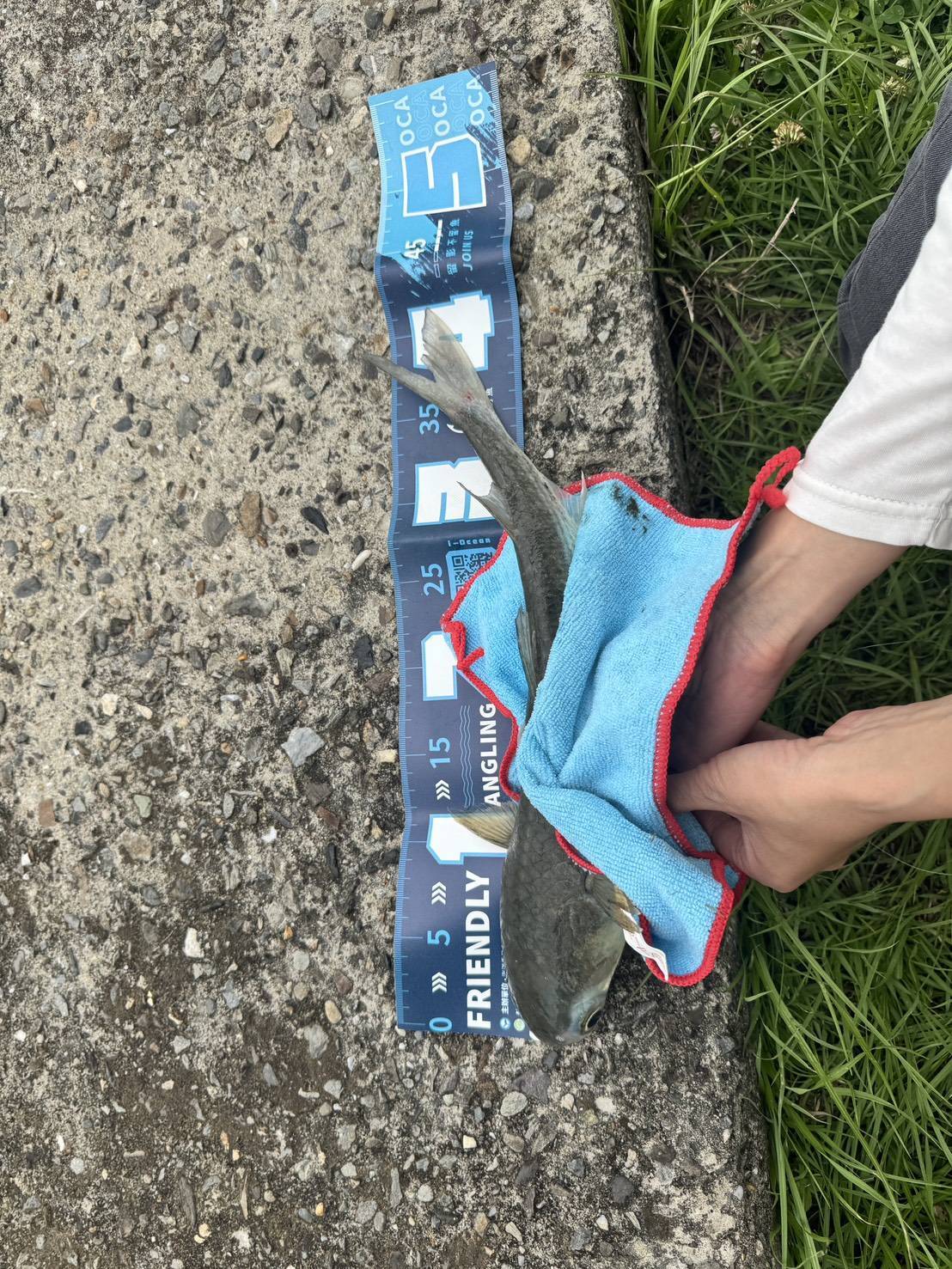 USR魅力士社體驗活動開辦囉