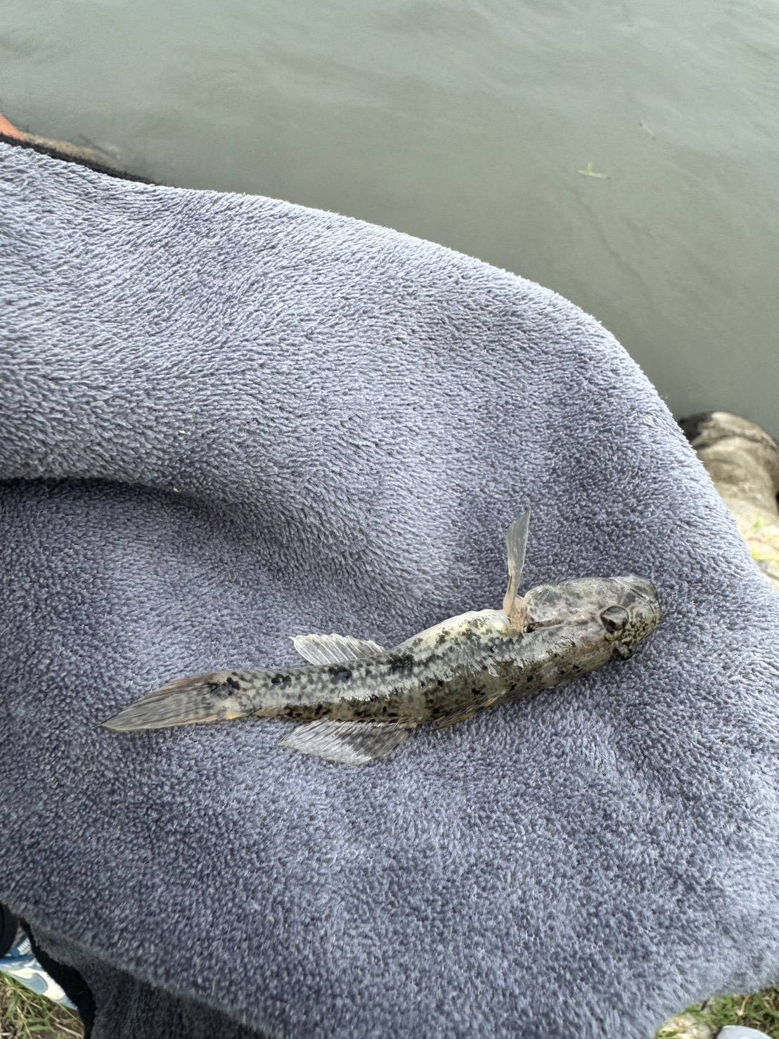 USR魅力士社體驗活動開辦囉