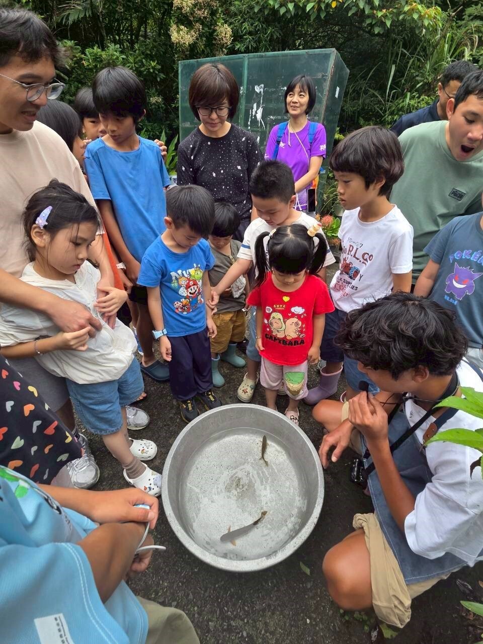 小勝老師詳細的解釋溪流生態與環境共生的重要性