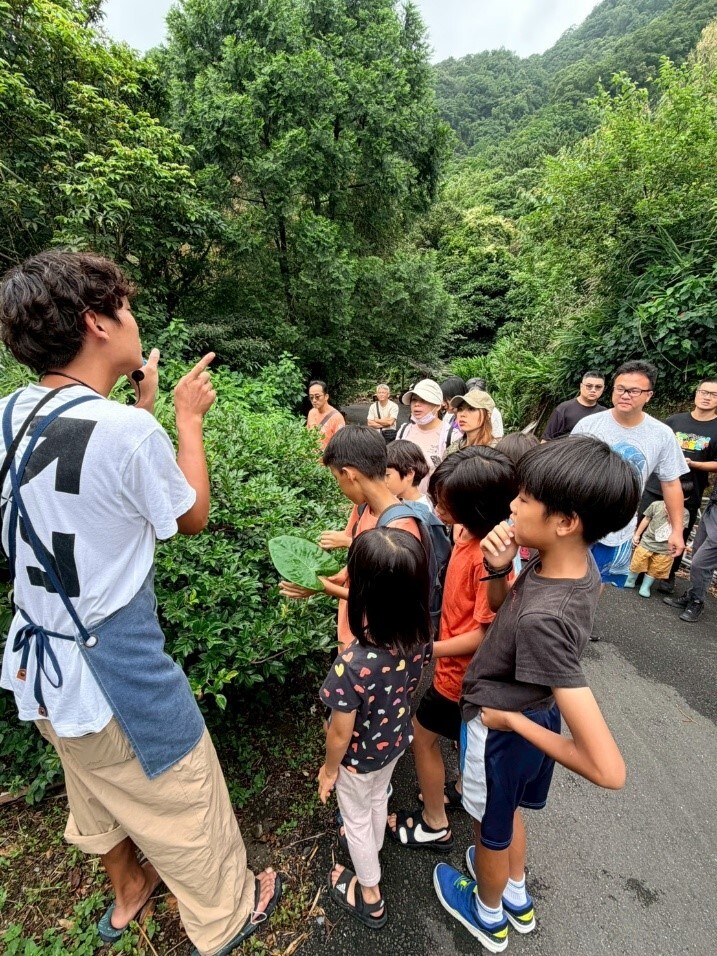 茶樹、茶花、茶籽與苦茶油的故事分享
