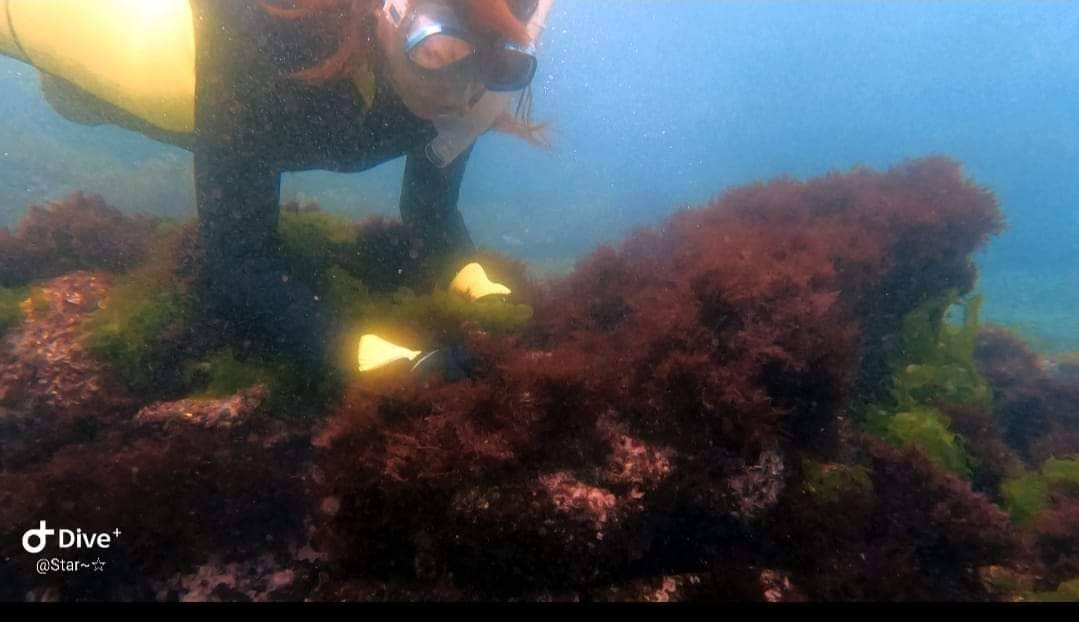 實地走訪海底世界