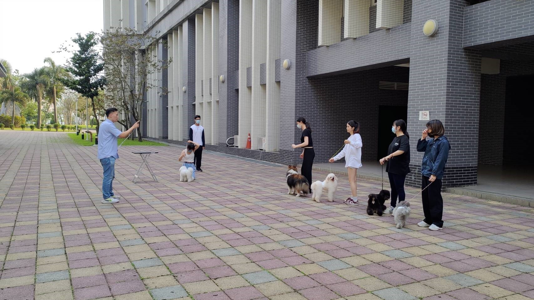 張維誌教師於課餘時間義務輔導培訓學生