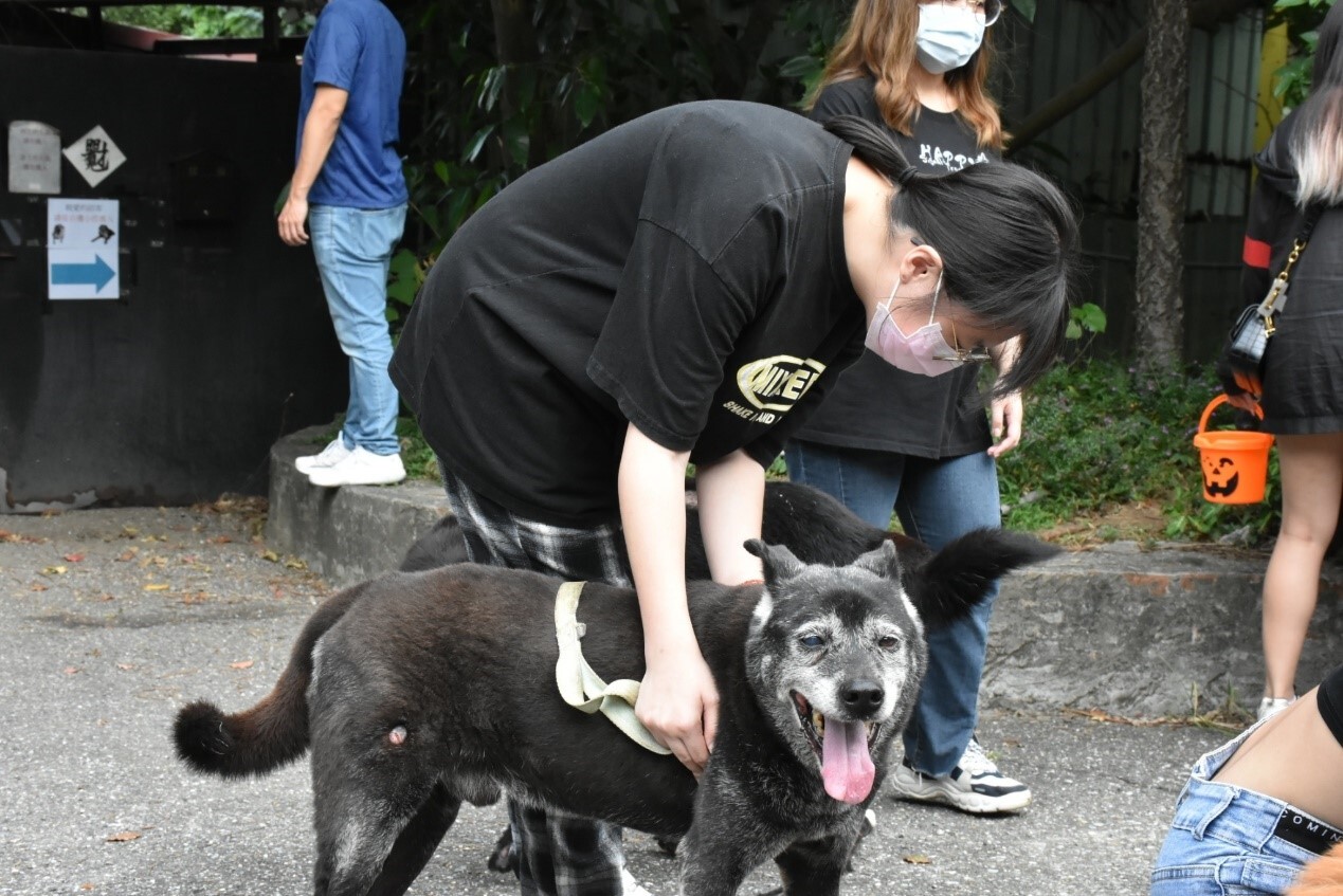 犬兒遛一遛隨即展露出好心情