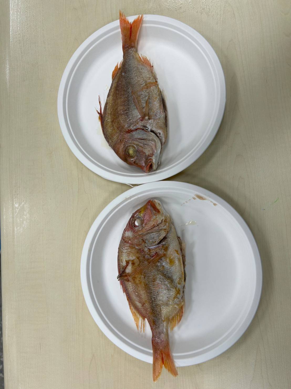 食魚教育
